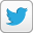 Twitter Profile of Jamie Wong Twitter Icon